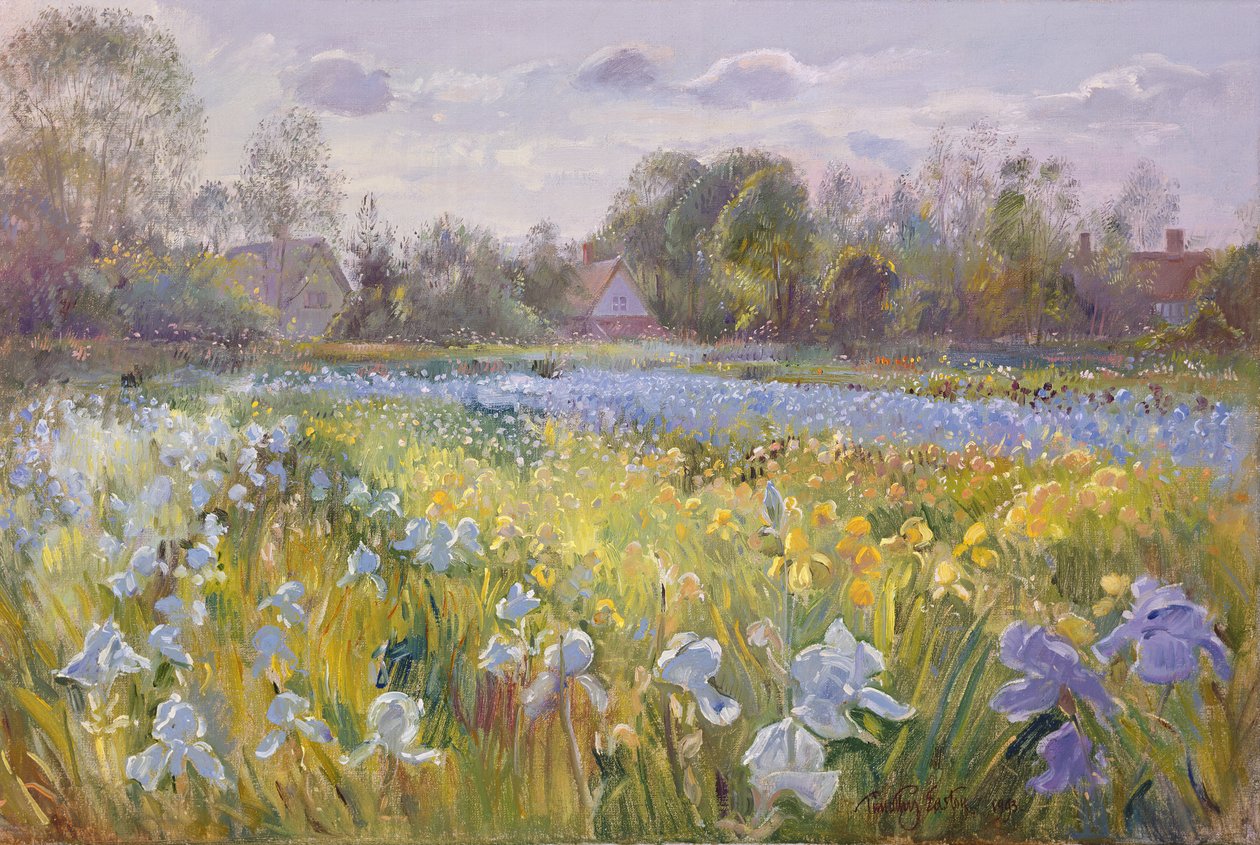 Irisfeld im Abendlicht von Timothy Easton