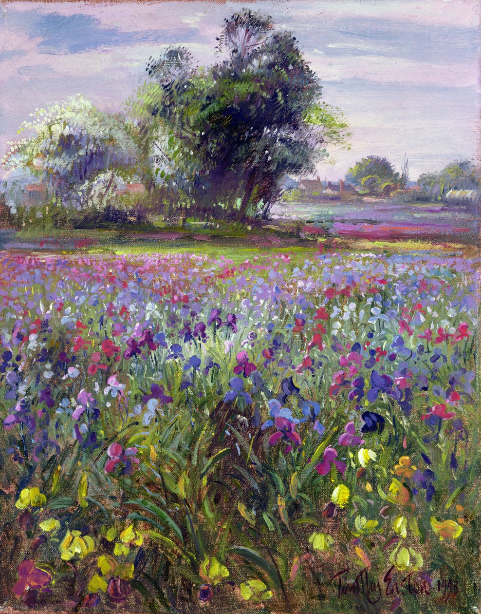 Schwertlilien und entfernter Maibaum, 1993 von Timothy Easton