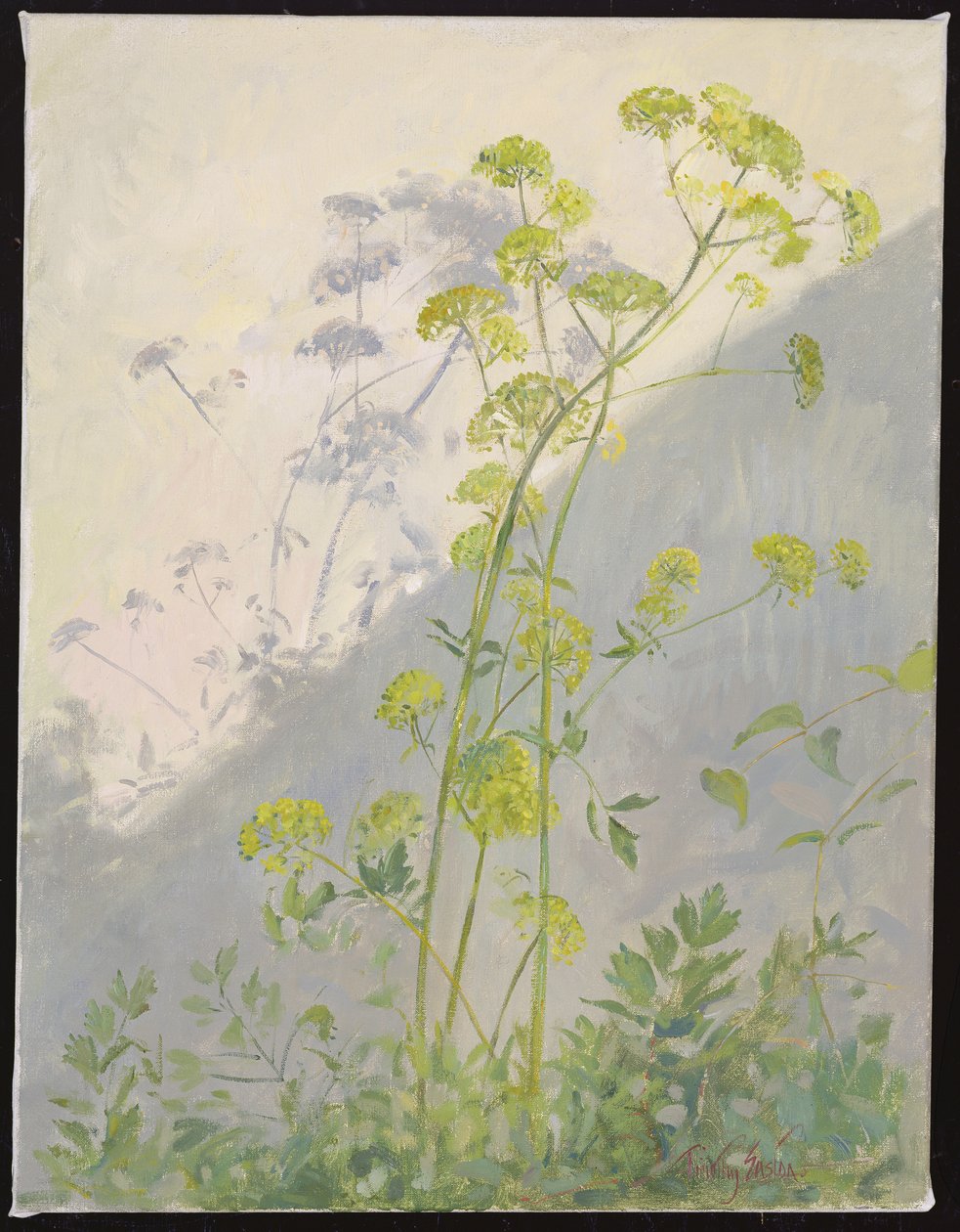 Liebstöckel gegen diagonale Schatten, 1999 von Timothy Easton