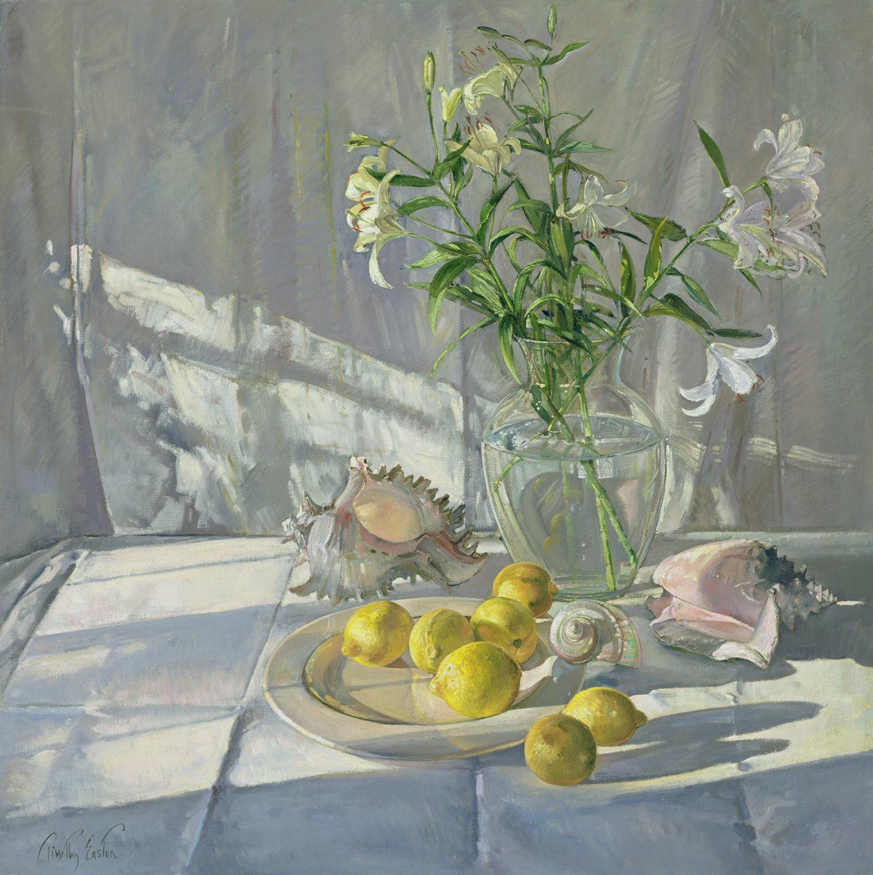 Reflexionen und Schatten von Timothy Easton