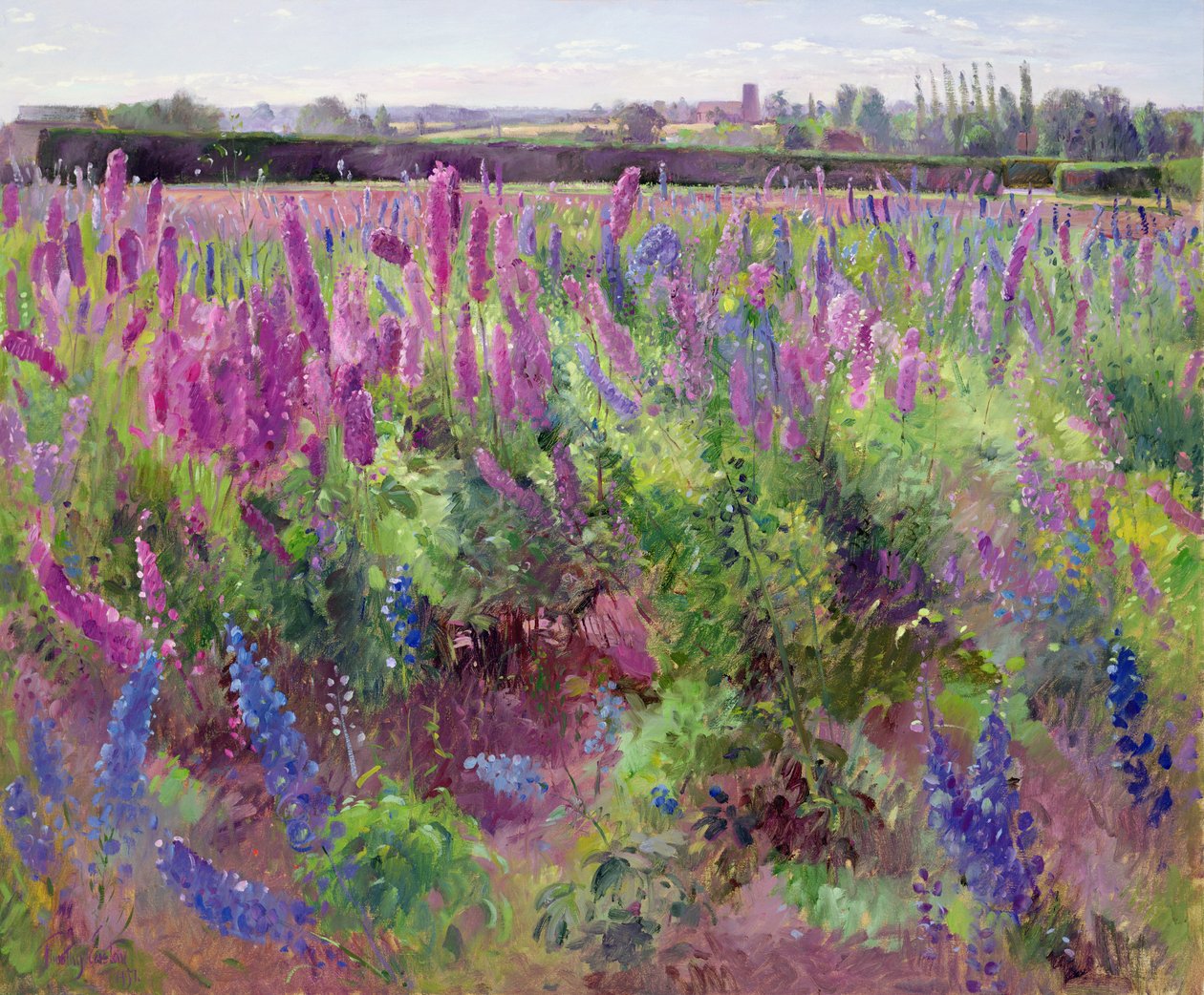 Das Delphinium-Feld, 1991 von Timothy Easton