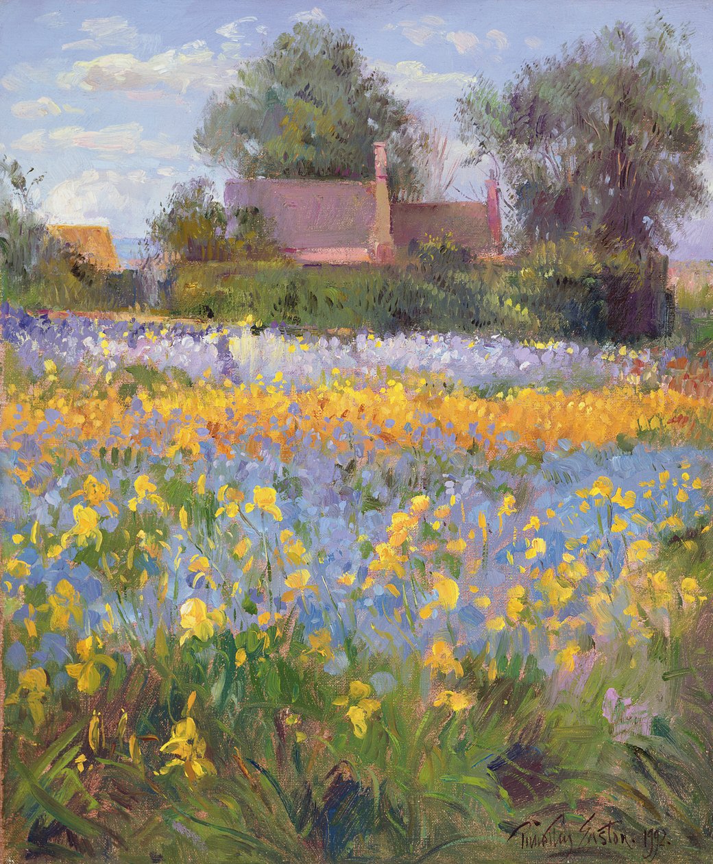 Die eingeschlossenen Hütten im Irisfeld von Timothy Easton