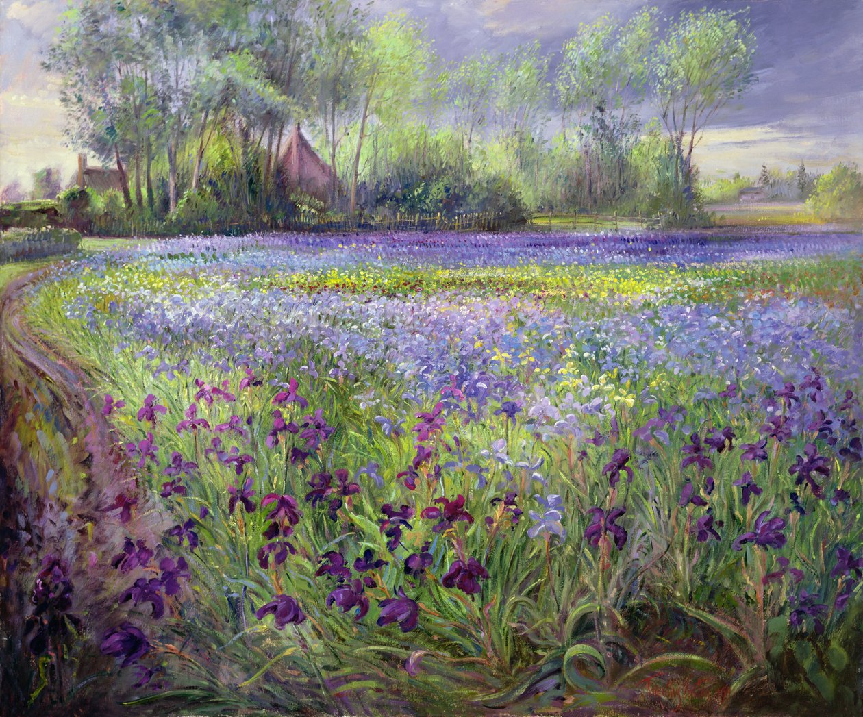 Weg am Irisfeld vorbei, 1991 von Timothy Easton