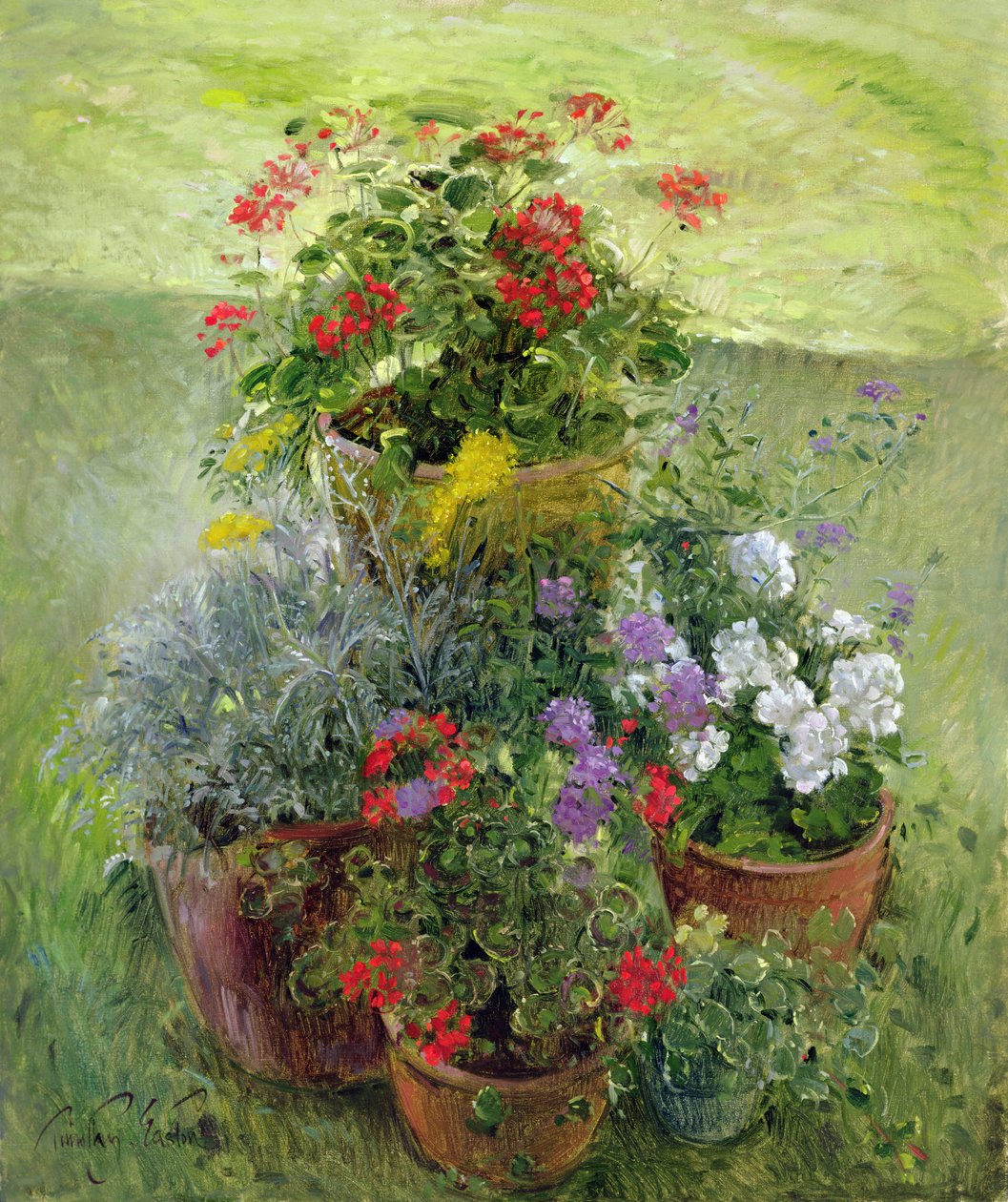Schattierte Töpfe von Timothy Easton