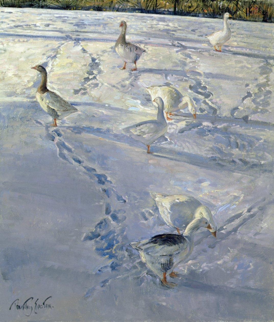 Schatten und Wege von Timothy Easton