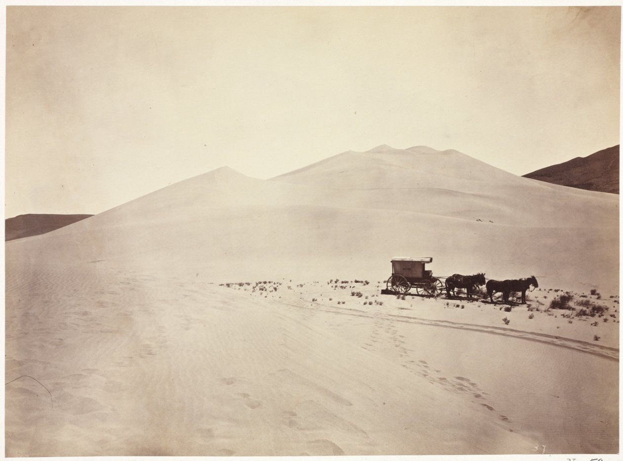 Sanddünen, Carson-Wüste, Nevada von Timothy H. O