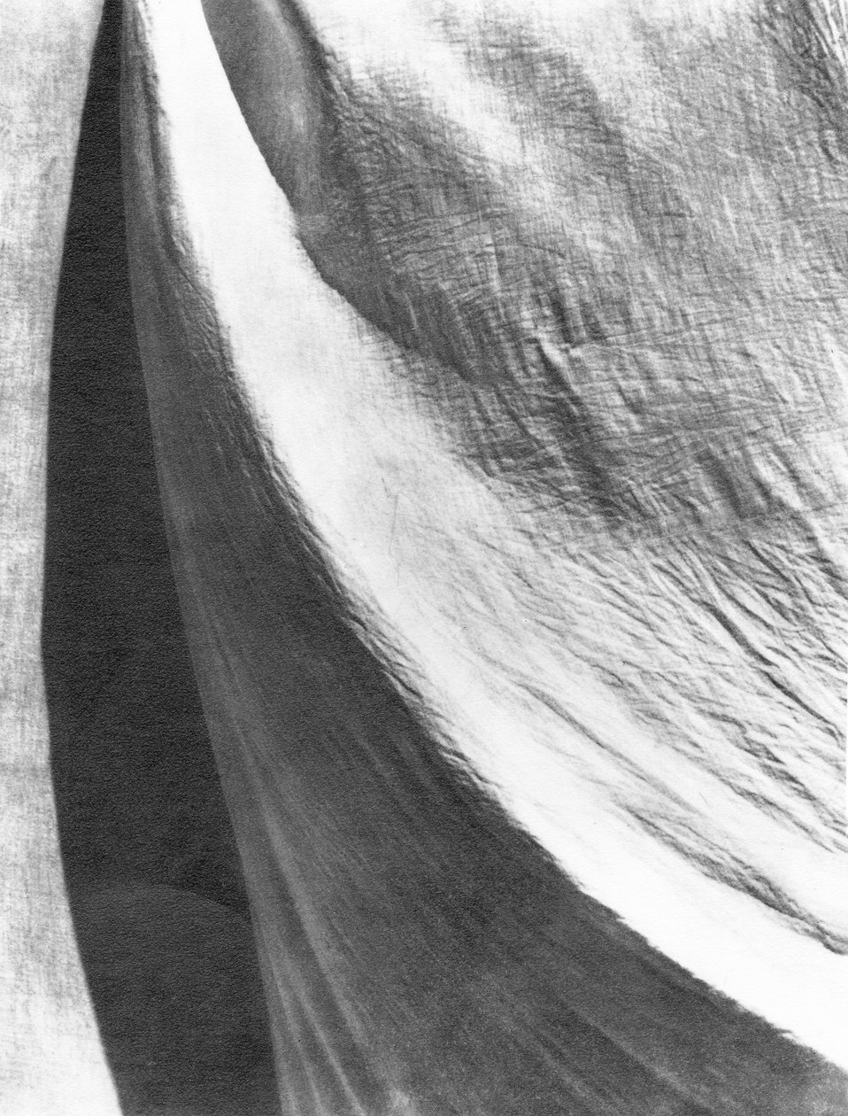 Stoff, Mexiko, 1924 von Tina Modotti