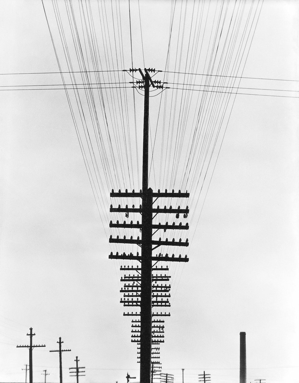 Telegrafendrähte, Mexiko, 1925 von Tina Modotti