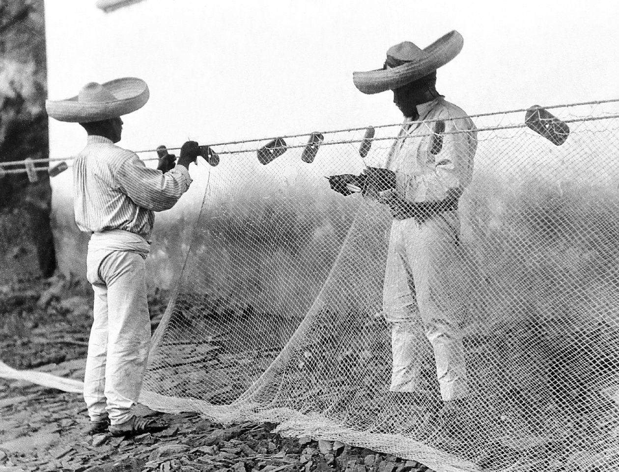 Fischer mit Netzen, Mexiko, ca. 1926 von Tina Modotti