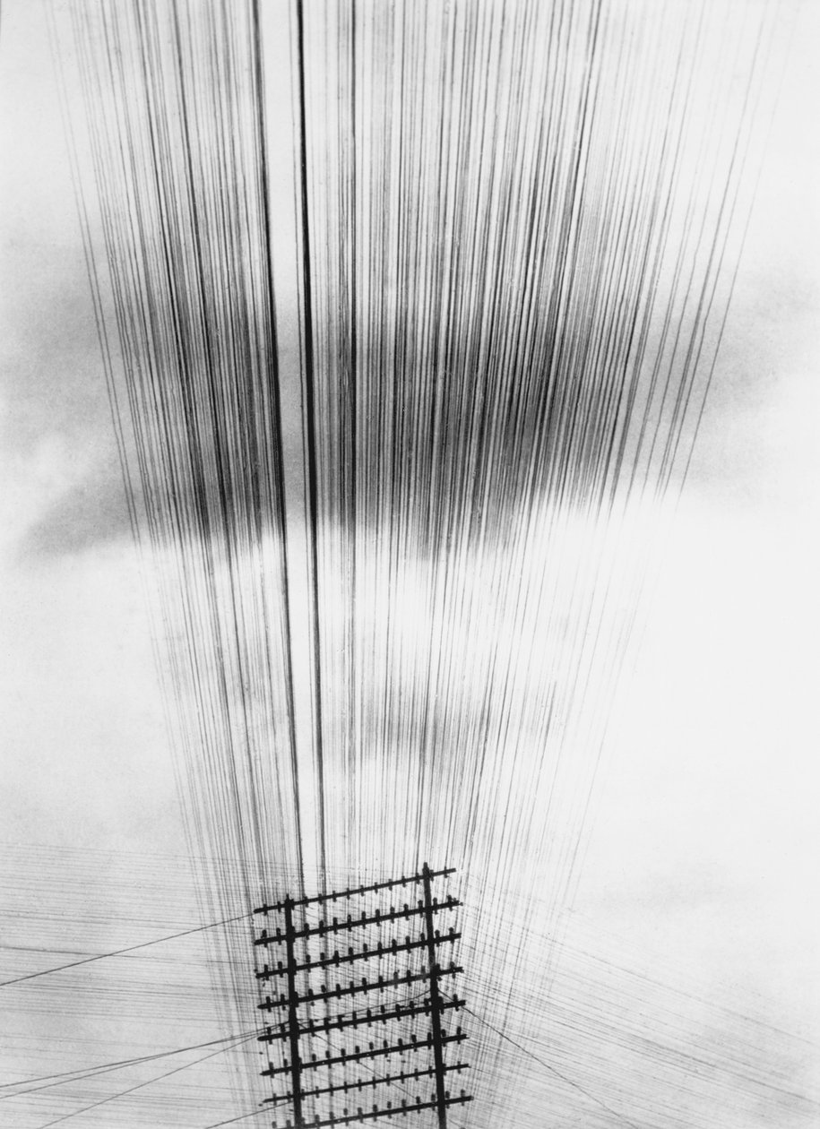 Telefonleitungen, Mexiko, 1925 von Tina Modotti