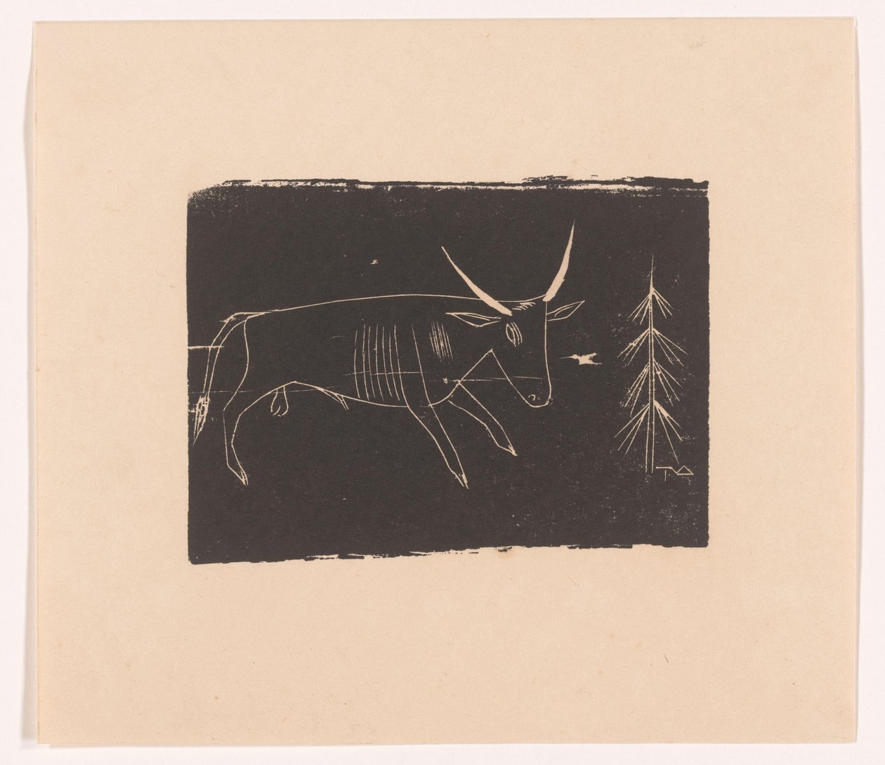 Stier von Tinus van Doorn (signed by artist)