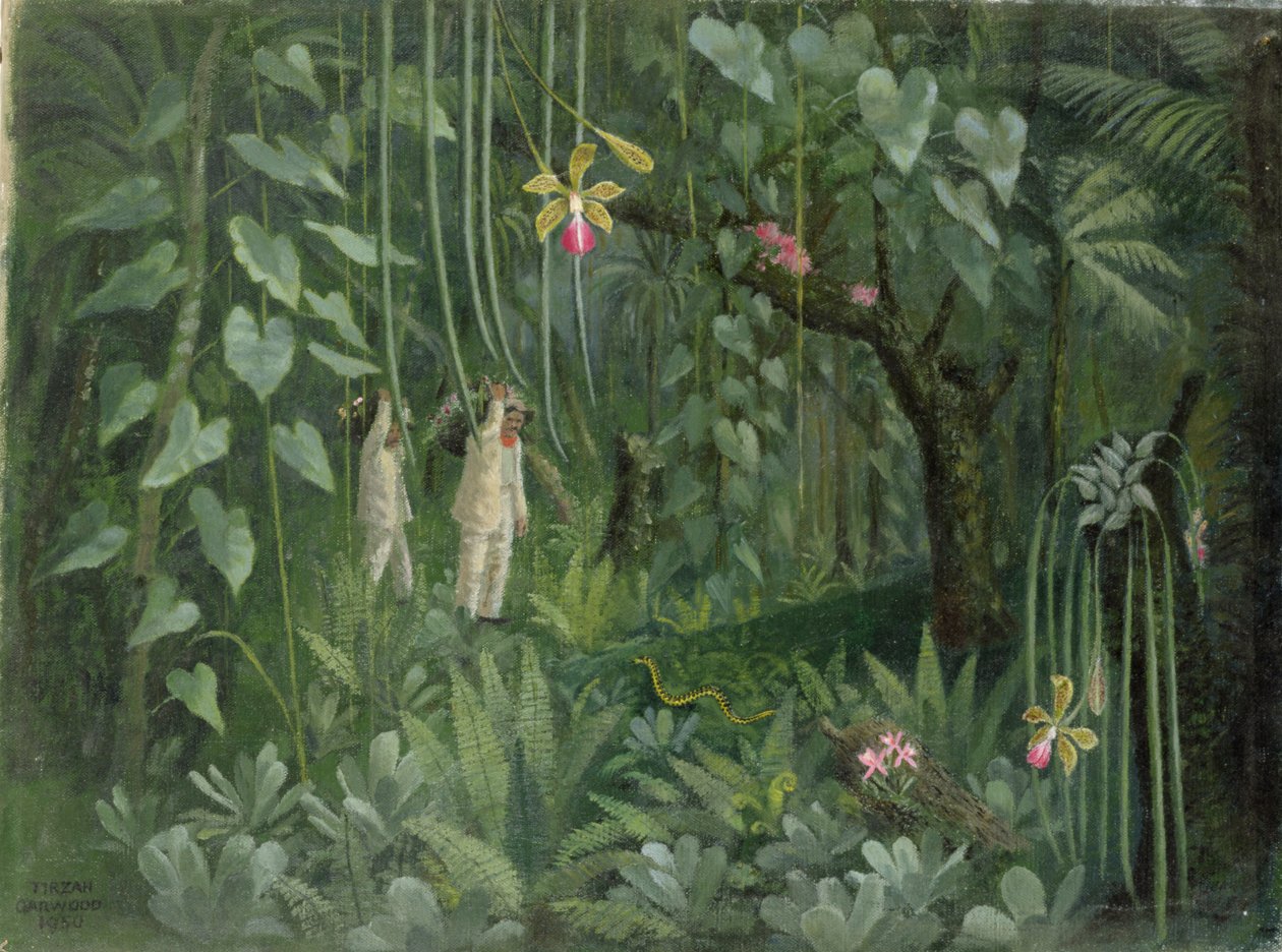Orchideenjäger von Brasilien von Tirzah Ravilious