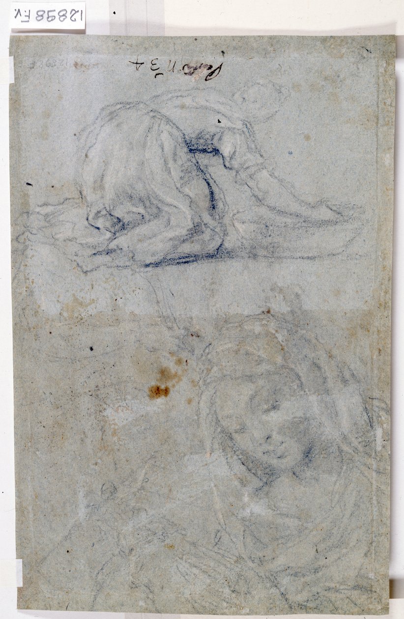 Studien der Jungfrau von Titian (c.1488 1576)