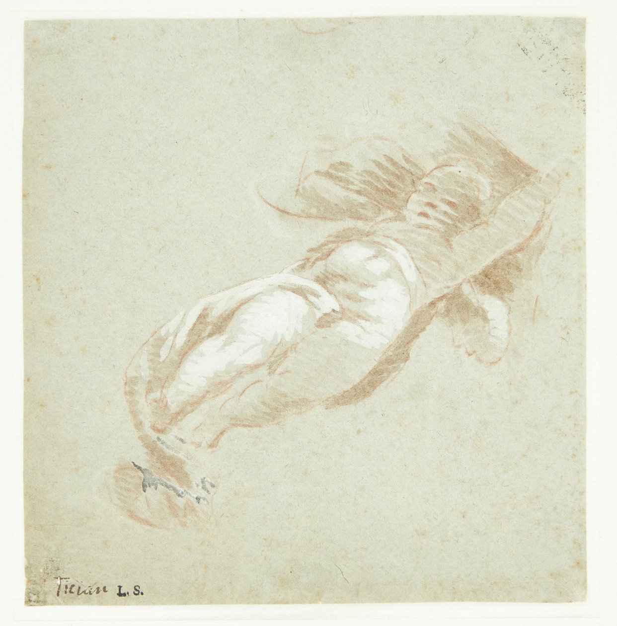 Fliegender Putto von Tizian