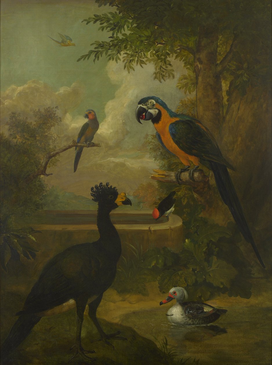 Aras und andere Vögel in einer Landschaft von Tobias Stranover
