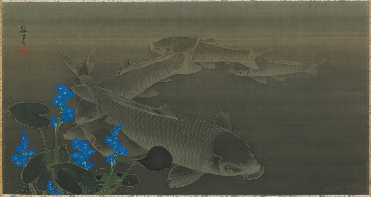 Karpfen, Edo-Periode von Toko Kuroda