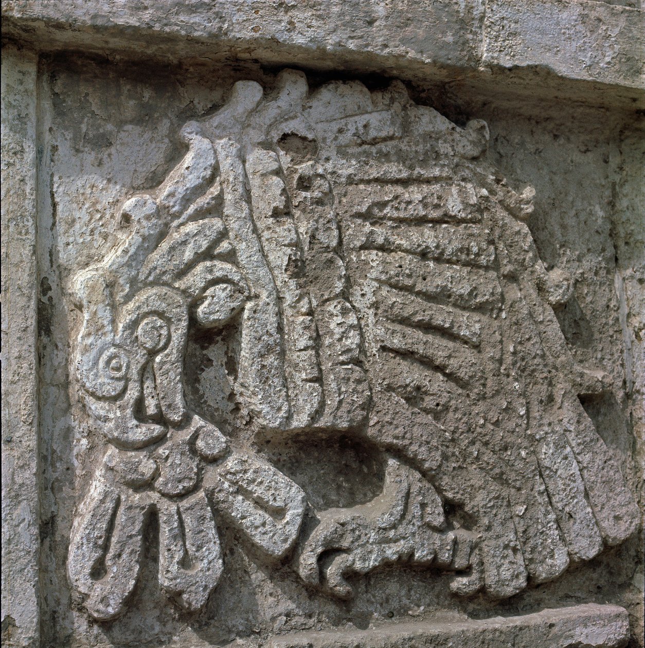 Relief eines Adlers, Tempel des Quetzalcoatl von Toltec Toltec