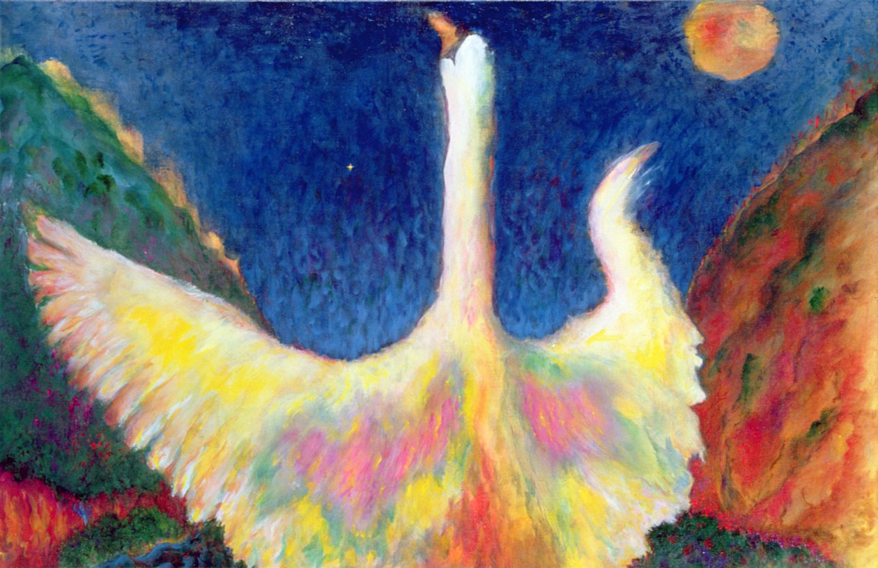 Leda und der Schwan von Tom Cook