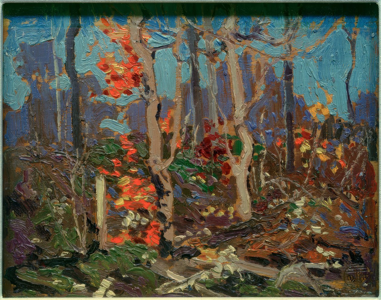 Ragged Oaks von Tom Thomson