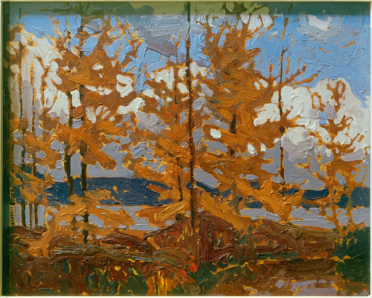 Tamaracks von Tom Thomson