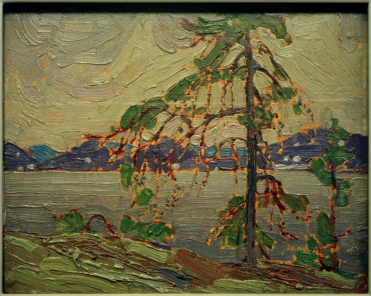 Die Kiefer (Skizze) von Tom Thomson
