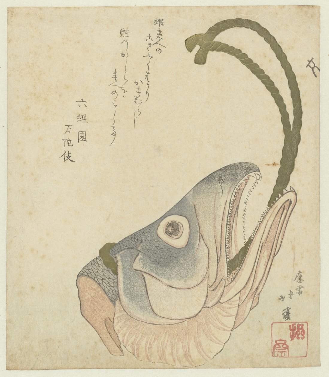 Kopf eines Lachses von Totoya Hokkei