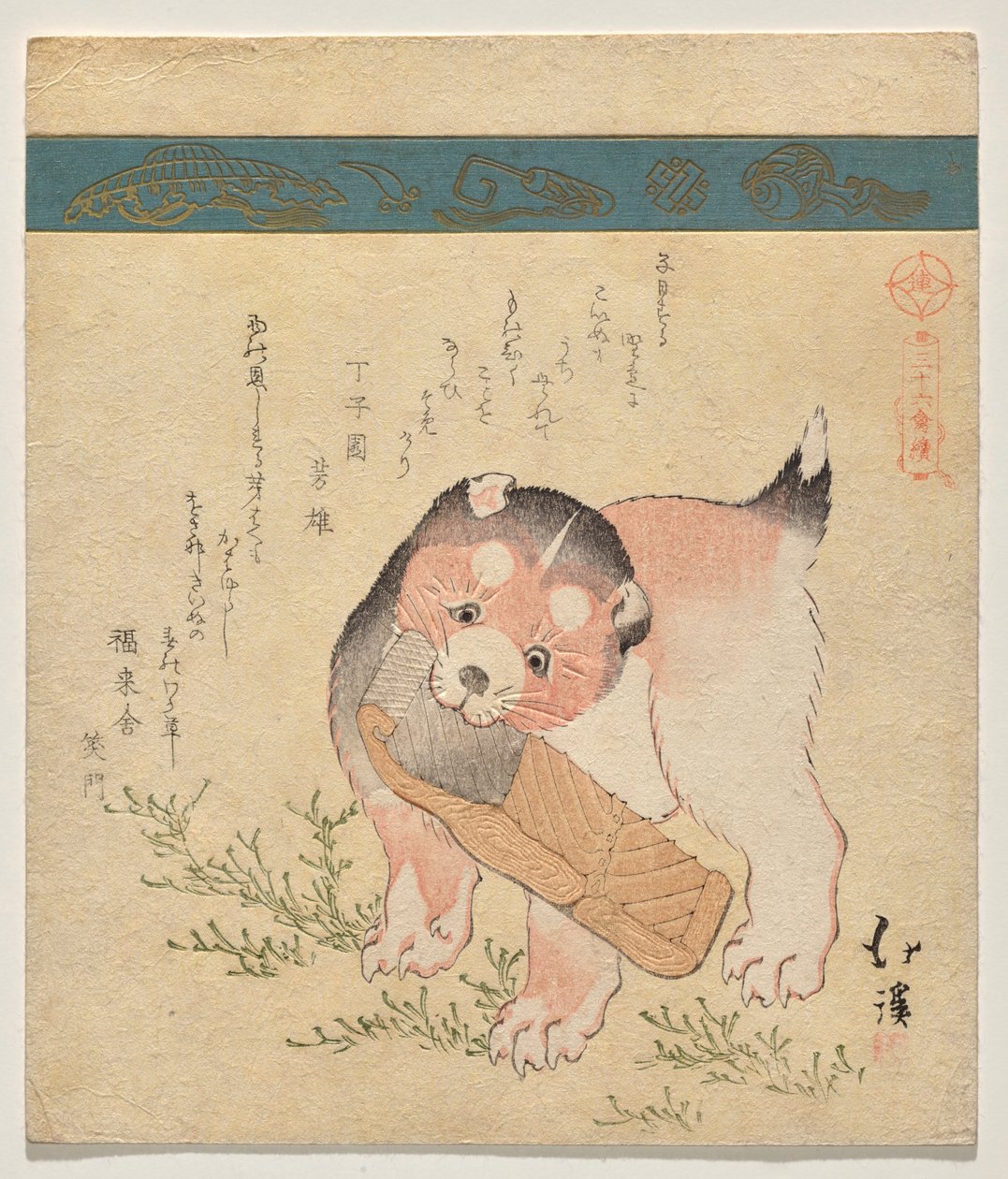 Welpe mit getrockneter Lachsscheibe von Totoya Hokkei