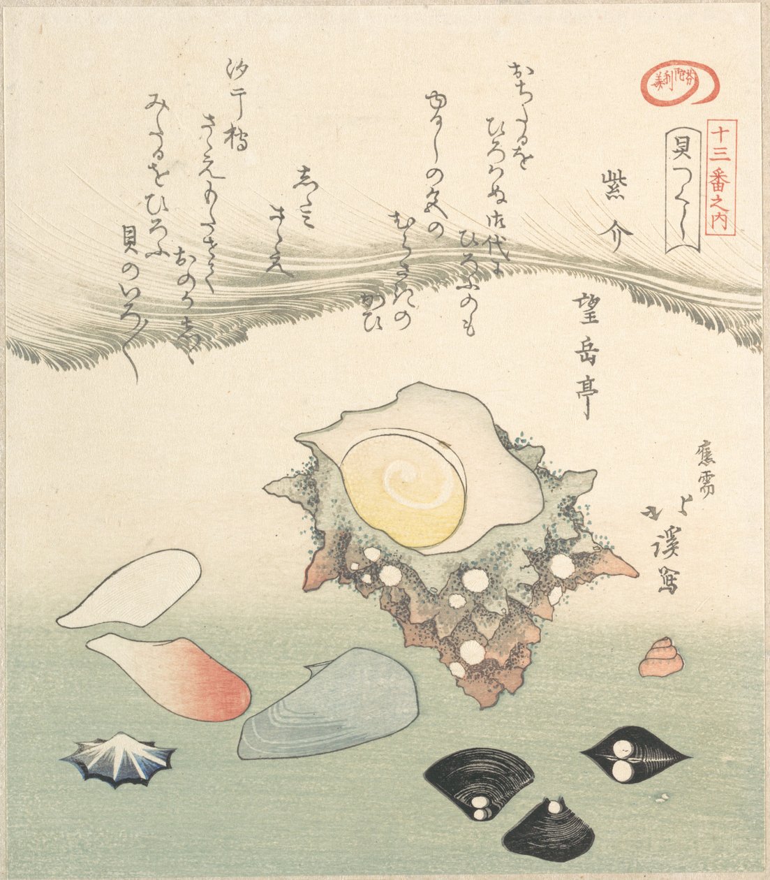 Turmschnecke und verschiedene Muscheln, 19. Jahrhundert von Totoya Hokkei