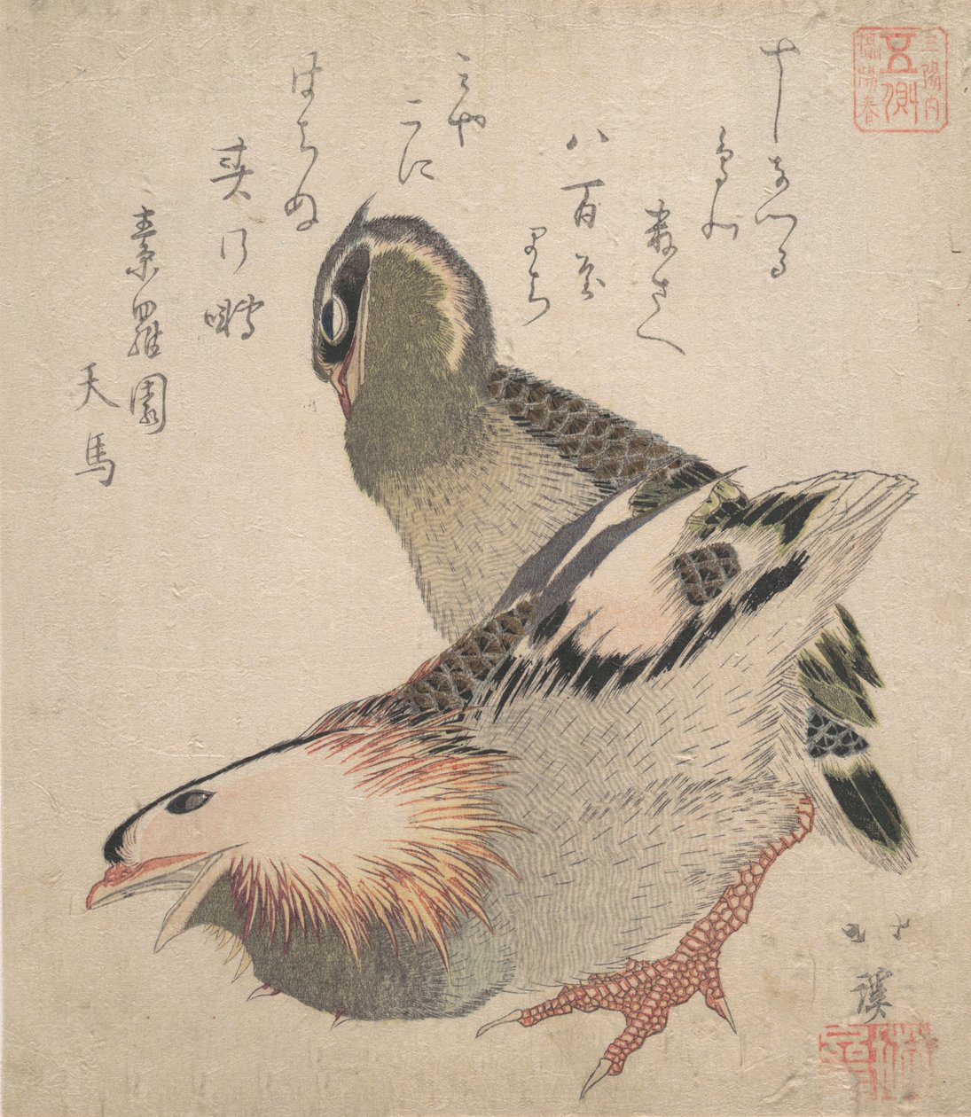 Zwei Vögel von Totoya Hokkei