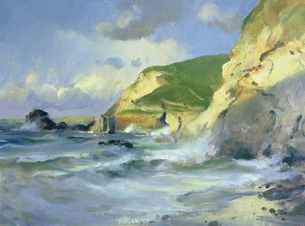 Klippen bei St. Agnes von Trevor Chamberlain