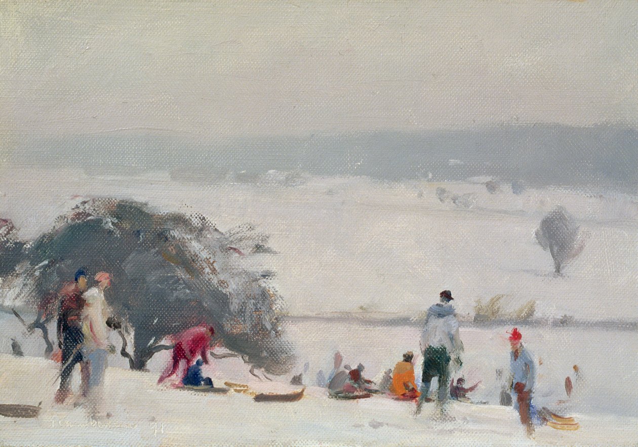 Schlittenfahren, The Meads, Hertford von Trevor Chamberlain