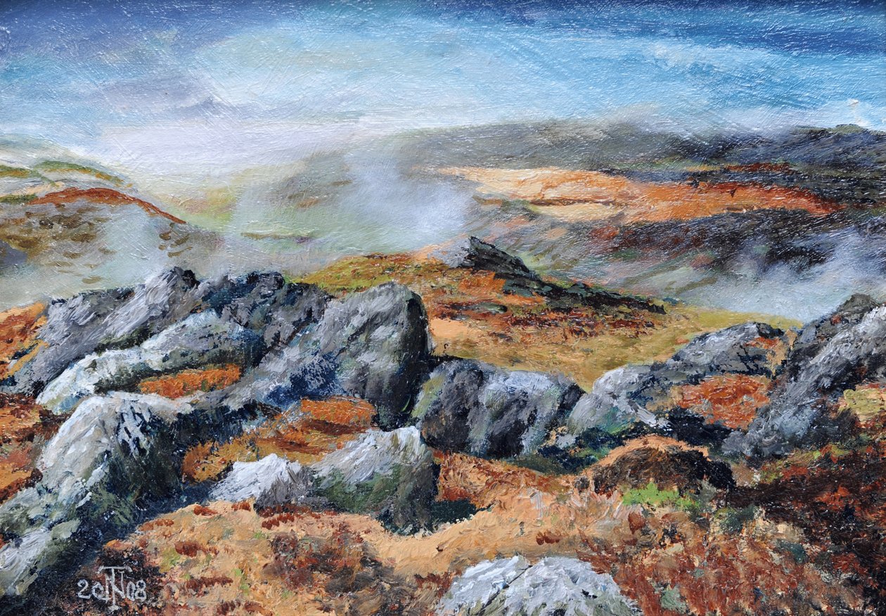 Langdales Spitze, Cumbria, 2008 von Trevor Neal