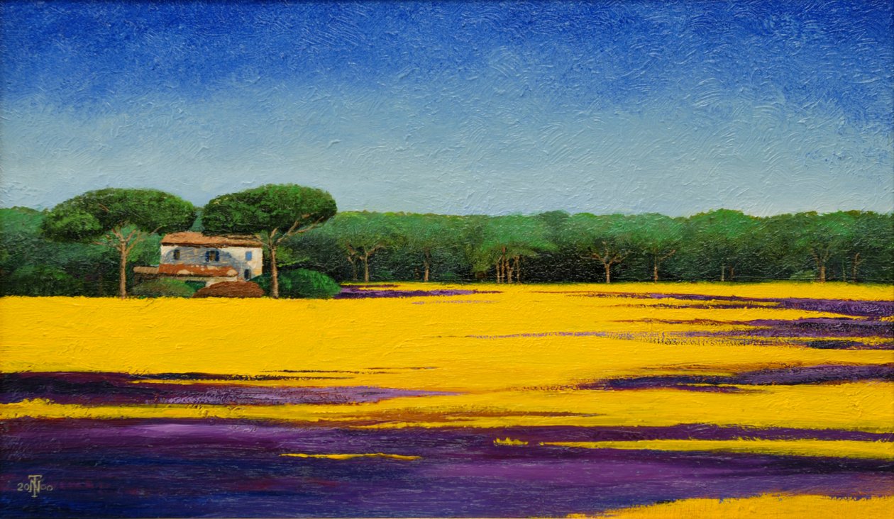 Toskanische Landschaft, 2010 von Trevor Neal