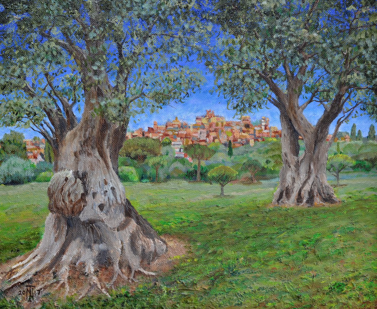 Blick auf Cagnes Sur Mer aus Renoirs Garten, 2017 von Trevor Neal