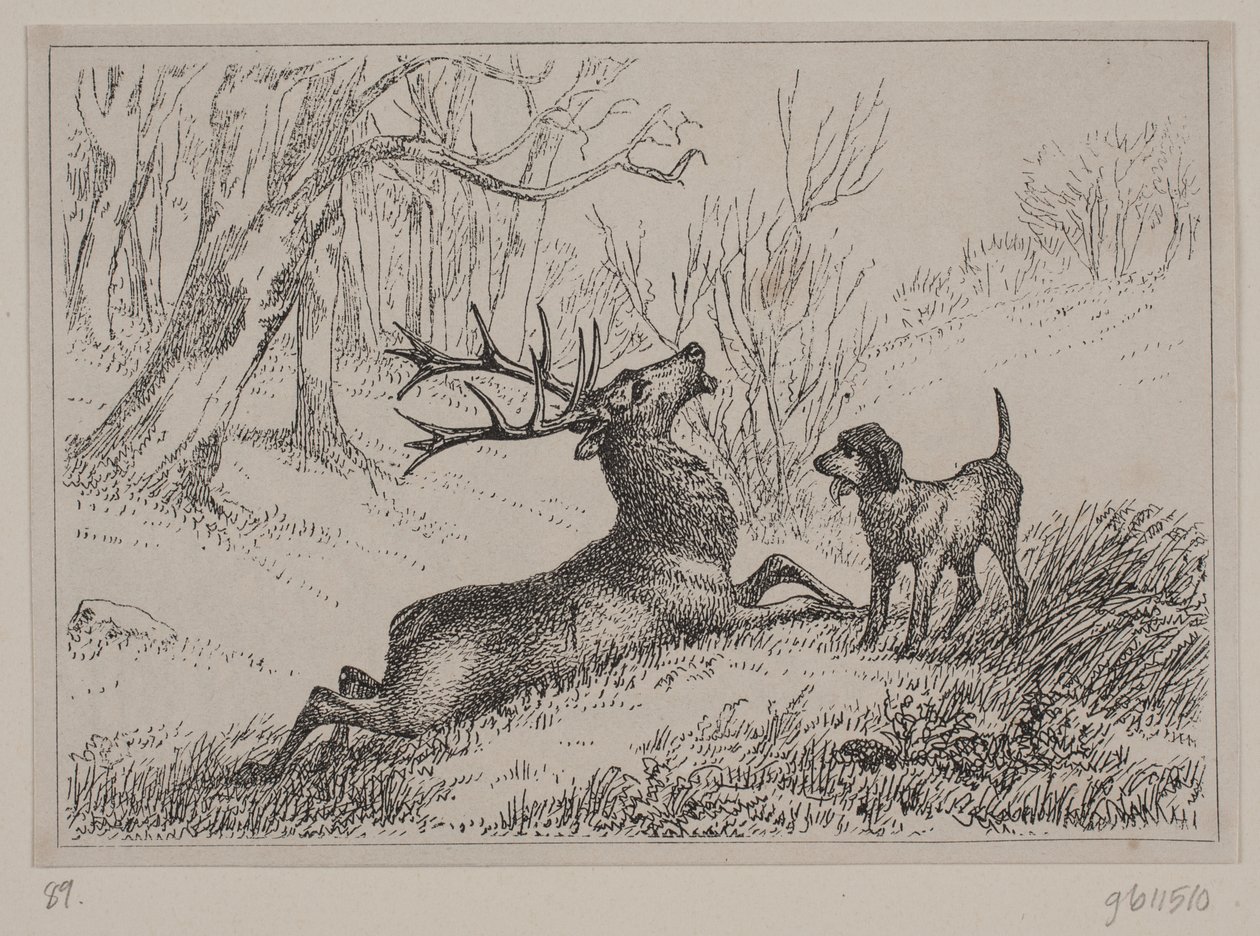 Illustration zum Gedicht "Hjorten" von Gotfred Rode von Ubekendt