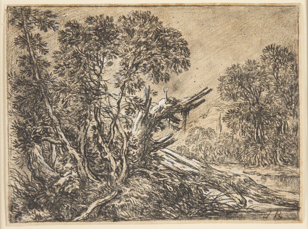 Waldlandschaft mit einem gebrochenen Baum von Ubekendt
