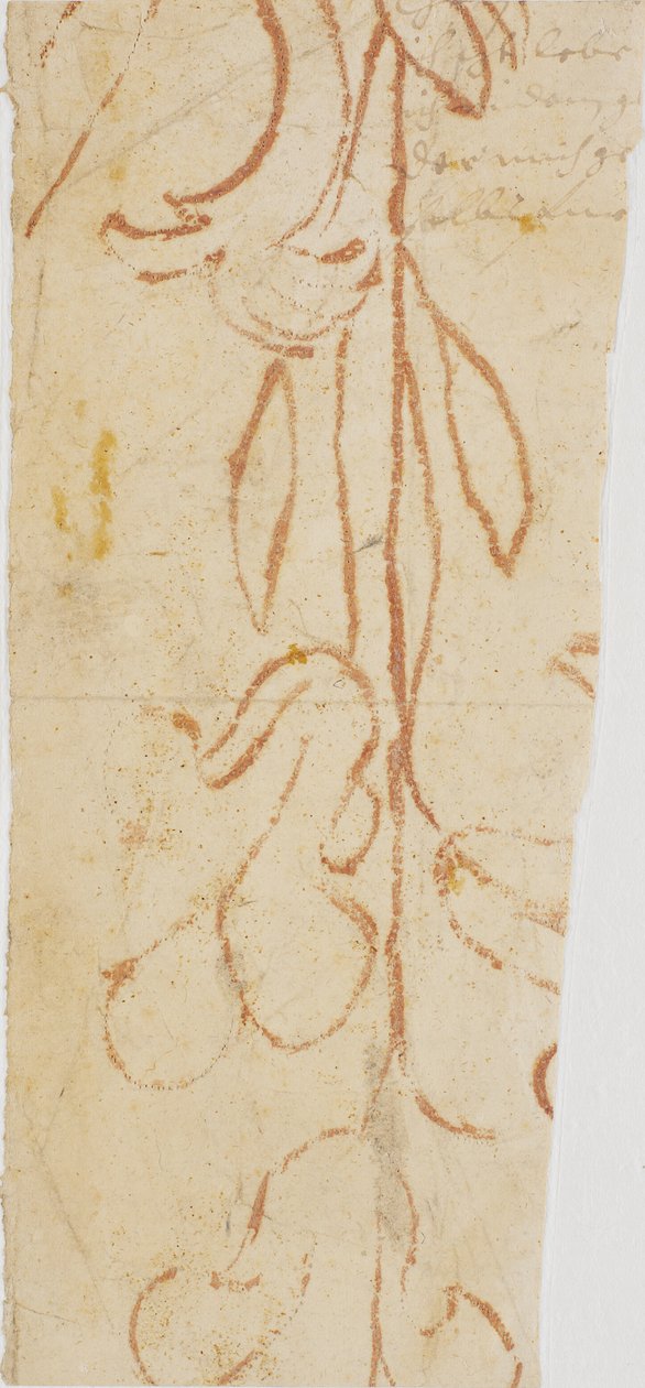 Pflanzenornament (Fragment) von Ubekendt KKSgb7383