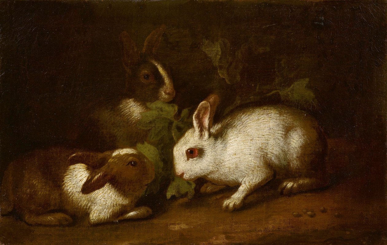 Hasen in einer Landschaft, Genuesische Schule von Unbekannt Unbekannt