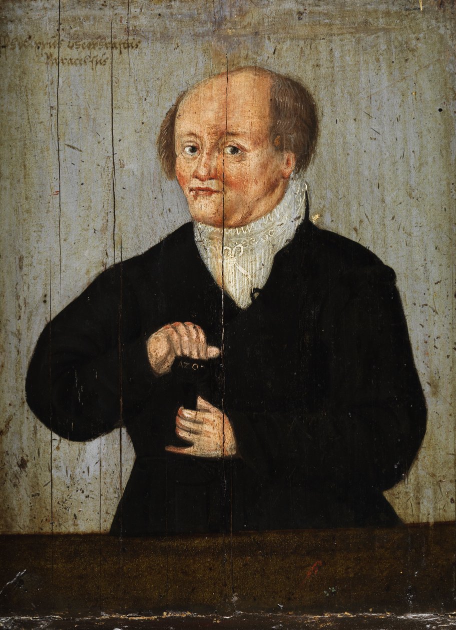 Philippus Theophrastus Paracelsus von Unbekannt Unbekannt