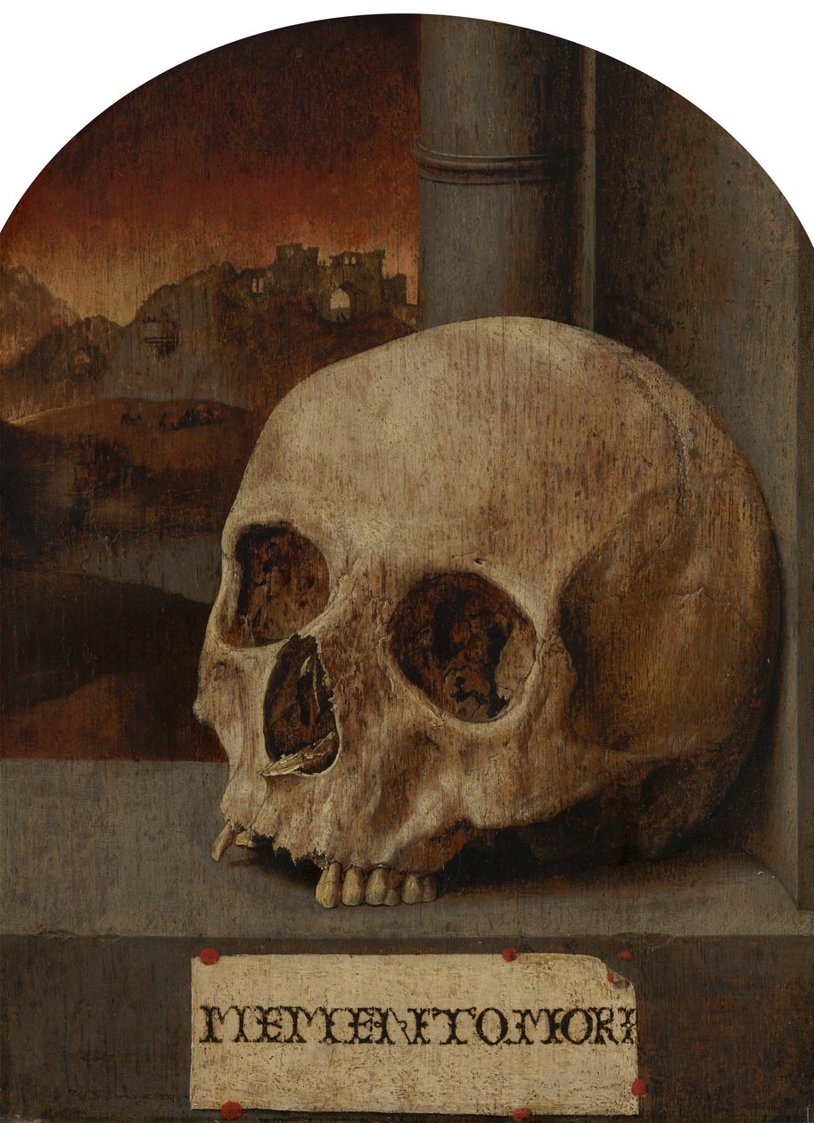 Vanitas-Stillleben von Unbekannt Unbekannt