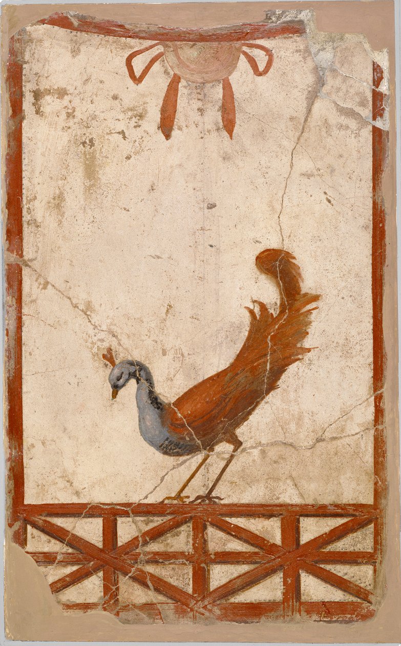 Wandfragment mit einem Pfau von Unbekannt Unbekannt