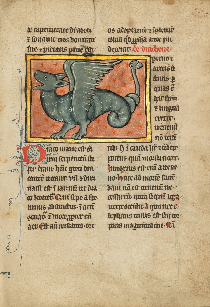 Ein geflügelter Drache von Unbekannt Unbekannt
