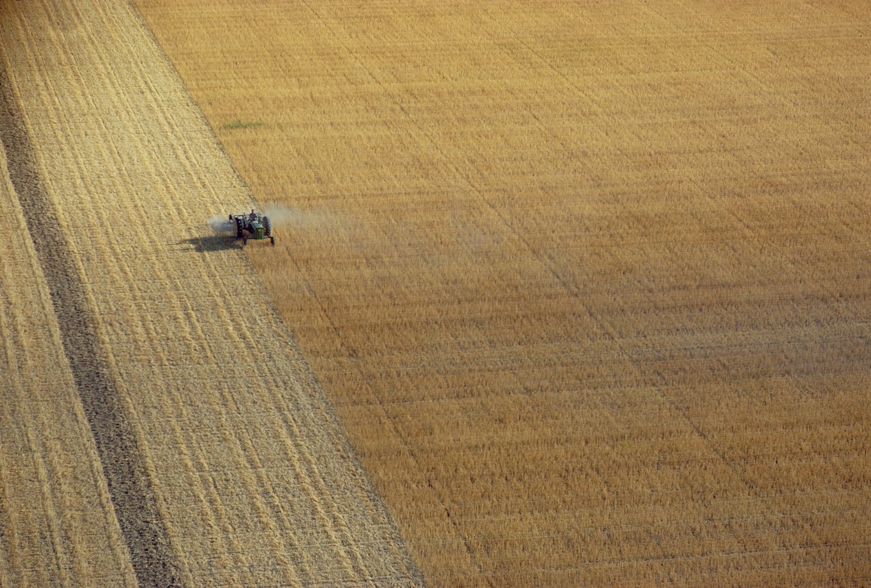 Ein Traktor bei der Ernte von Unbekannt Unbekannt