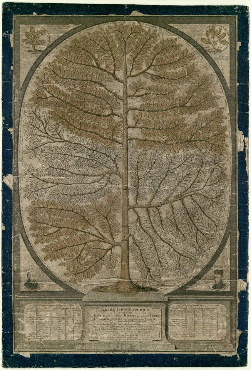 Geographischer Baum der Jesuiten von Unbekannt Unbekannt