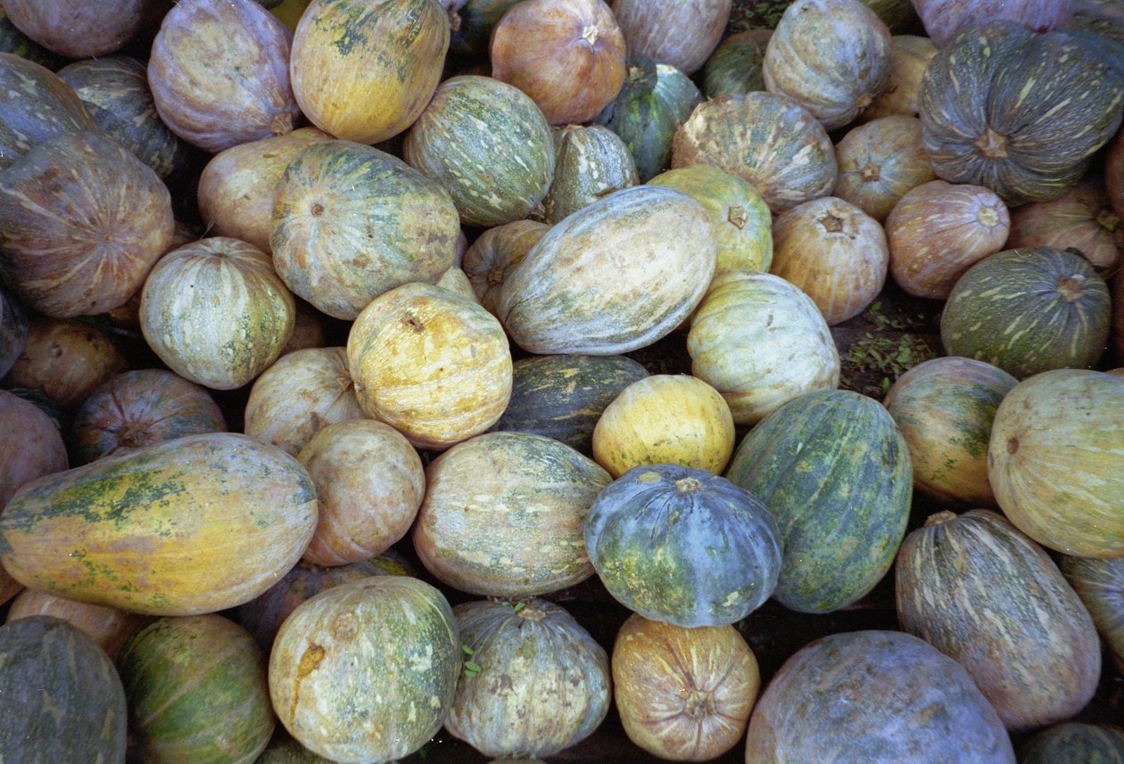 Melonen, 1995 von Unbekannt Unbekannt