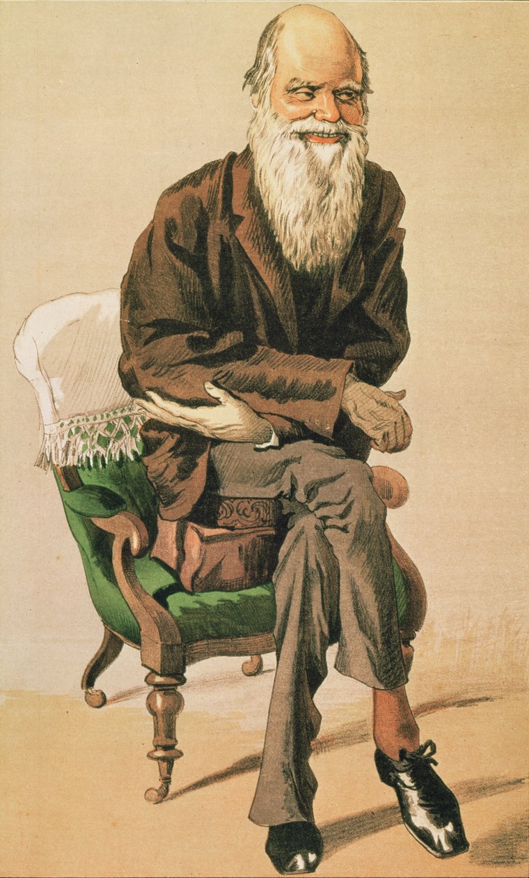 Männer des Tages, Nr. 33, Charles Darwin, Karikatur aus Vanity Fair von Unbekannt Unbekannt