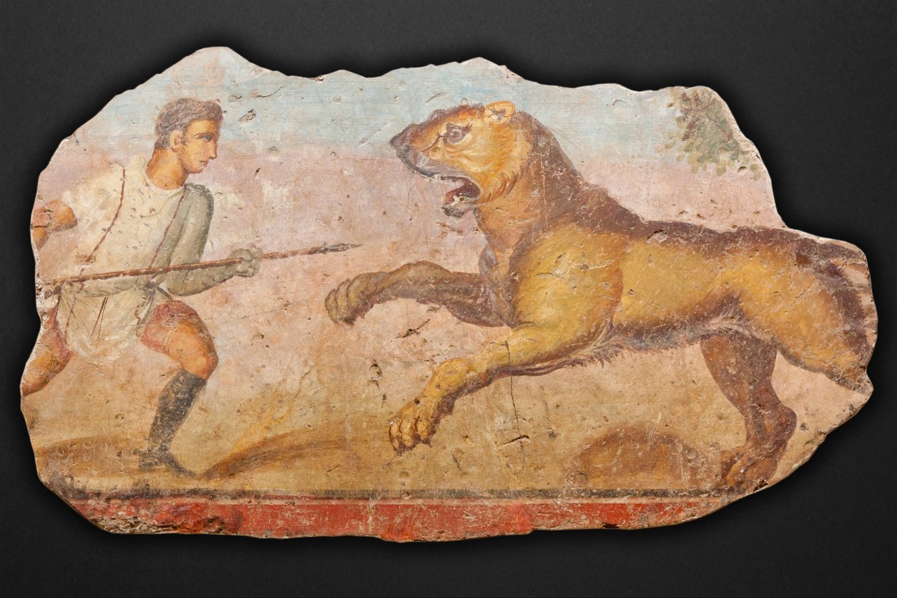 Gemälde aus dem Amphitheater. Jäger mit Löwin von Unbekannt Unbekannt