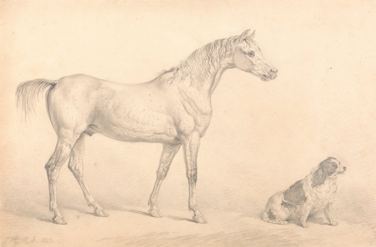 Porträts eines grauen Pferdes und eines schwarz-weißen Spaniels, Eigentum des ehrenwerten C. Arbu... von Unbekannt Unbekannt