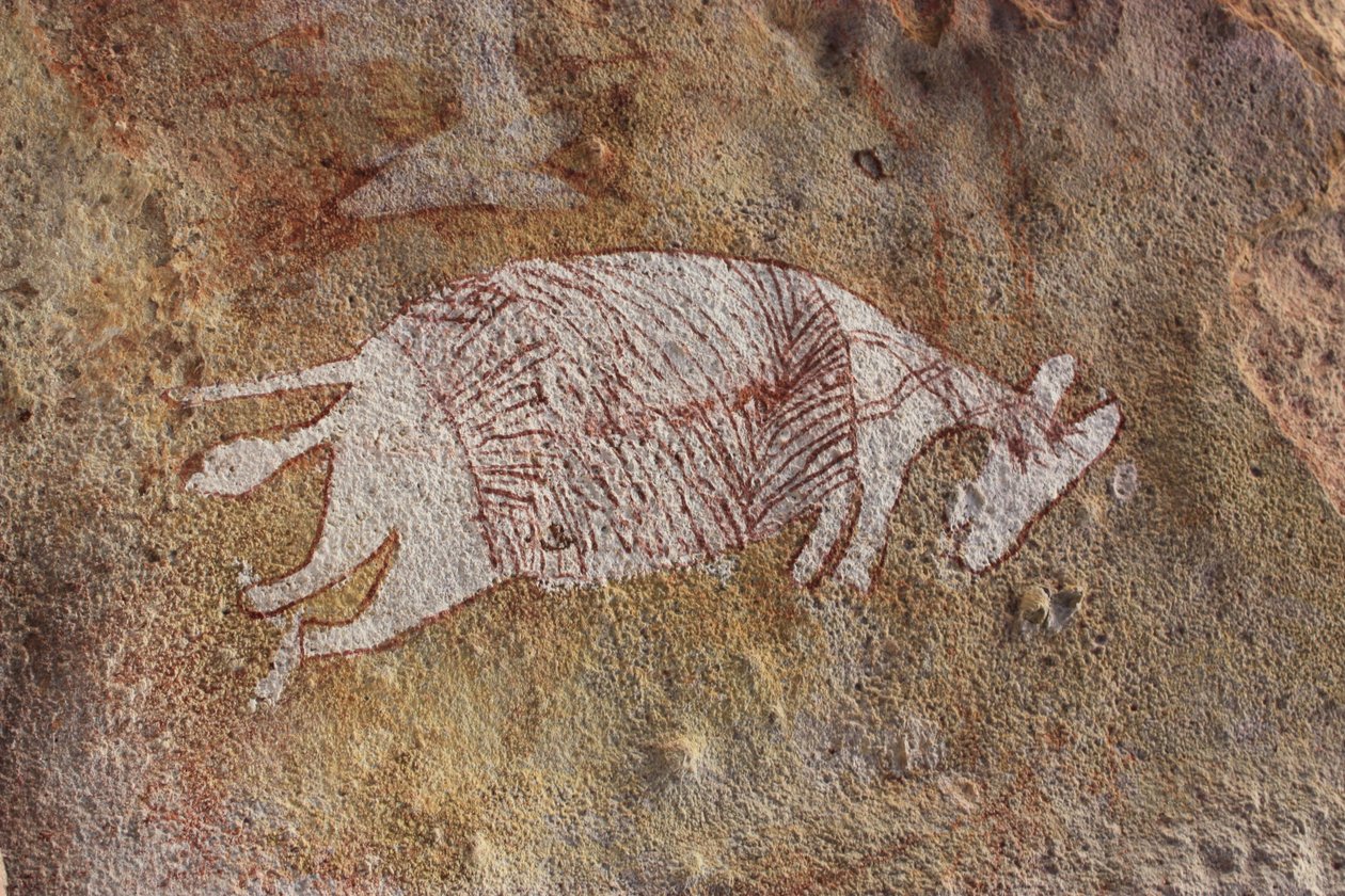 Rotes und weißes Wallaby von Unbekannt Unbekannt