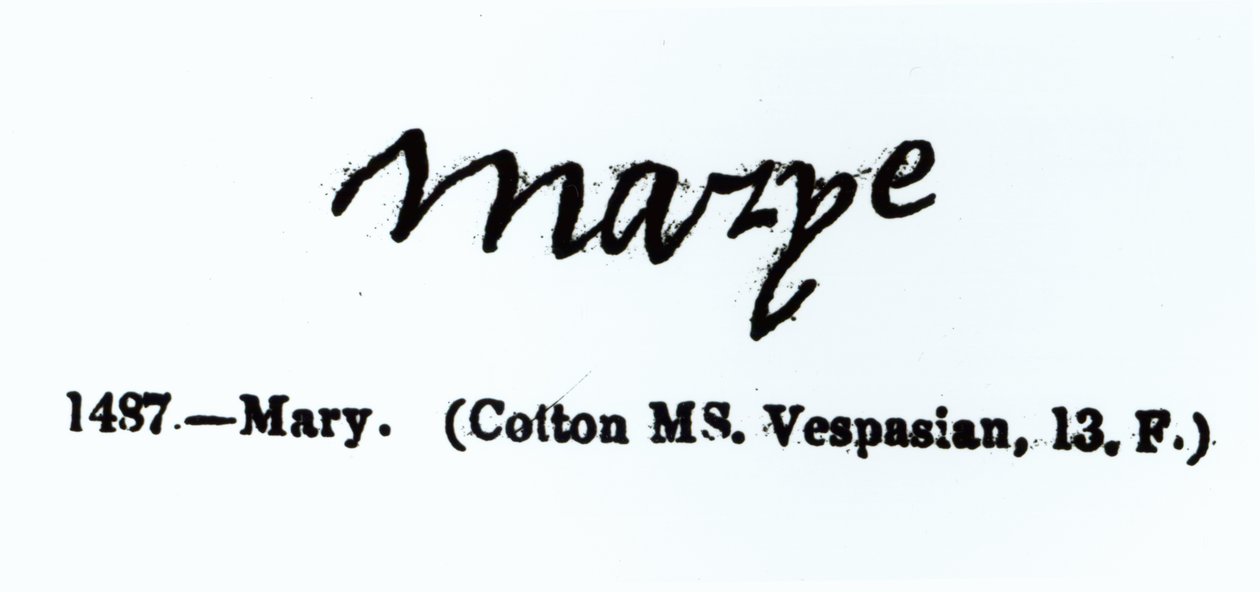 Reproduktion der Unterschrift von Maria I. (1516-1558) von Unbekannt Unbekannt